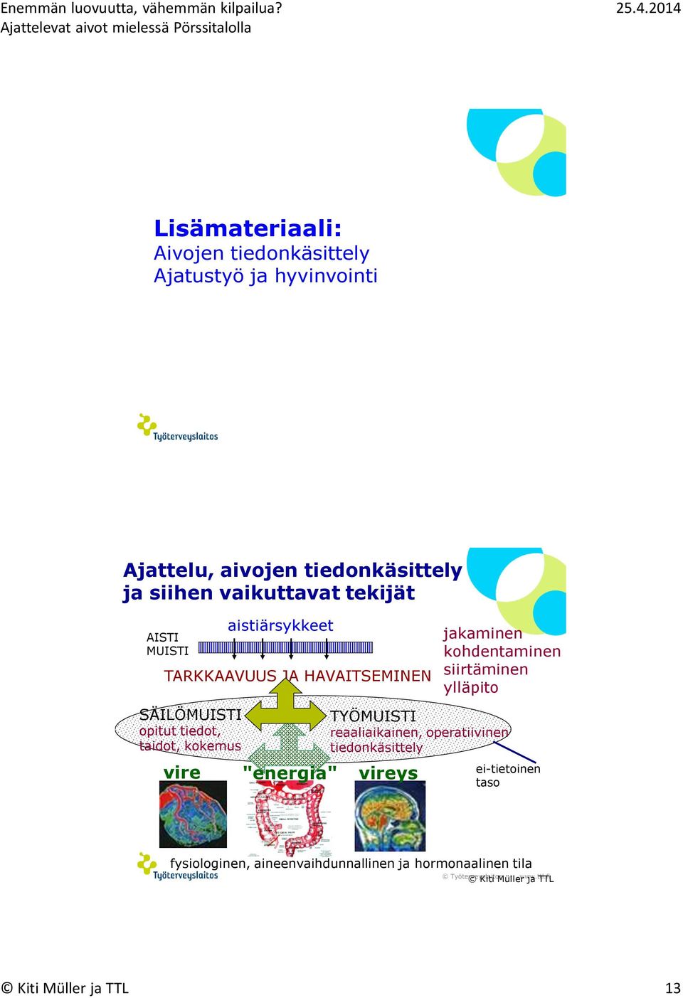 kokemus vire aistiärsykkeet "energia" jakaminen kohdentaminen siirtäminen ylläpito TYÖMUISTI