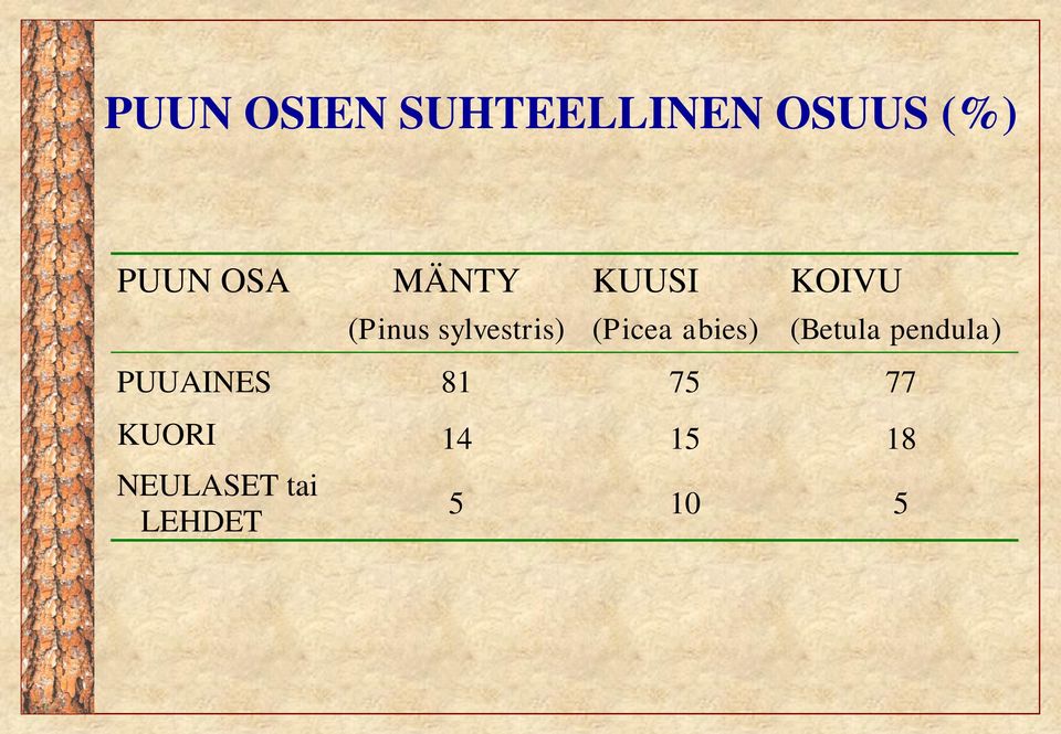 (Picea abies) (Betula pendula) PUUAINES