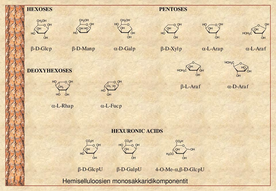 -L-Araf -D-Araf -L-Rhap -L-Fucp HEXURNIC ACIDS C 2 H H C 2 H H H 3 C C