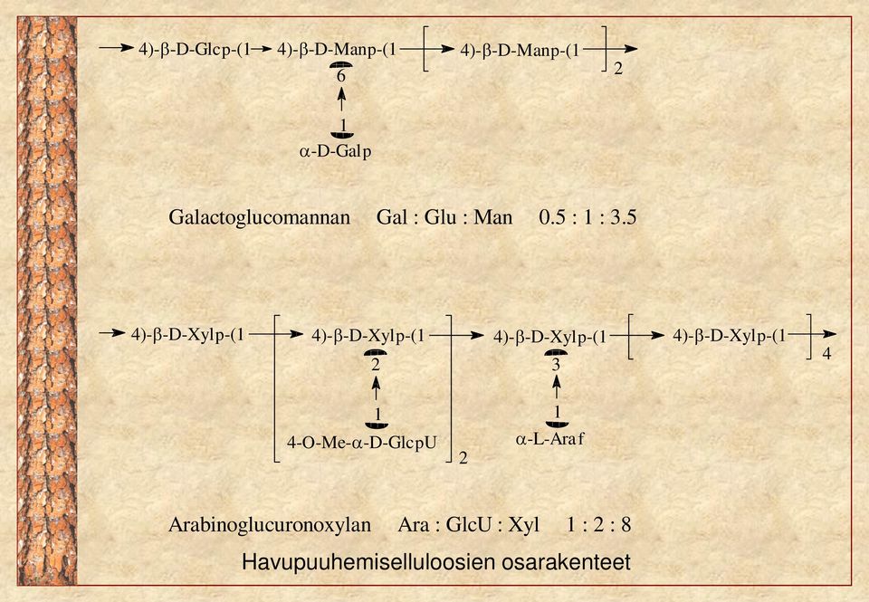 5 4)--D-Xylp-(1 4)--D-Xylp-(1 4)--D-Xylp-(1 4)--D-Xylp-(1 2 3 4 1