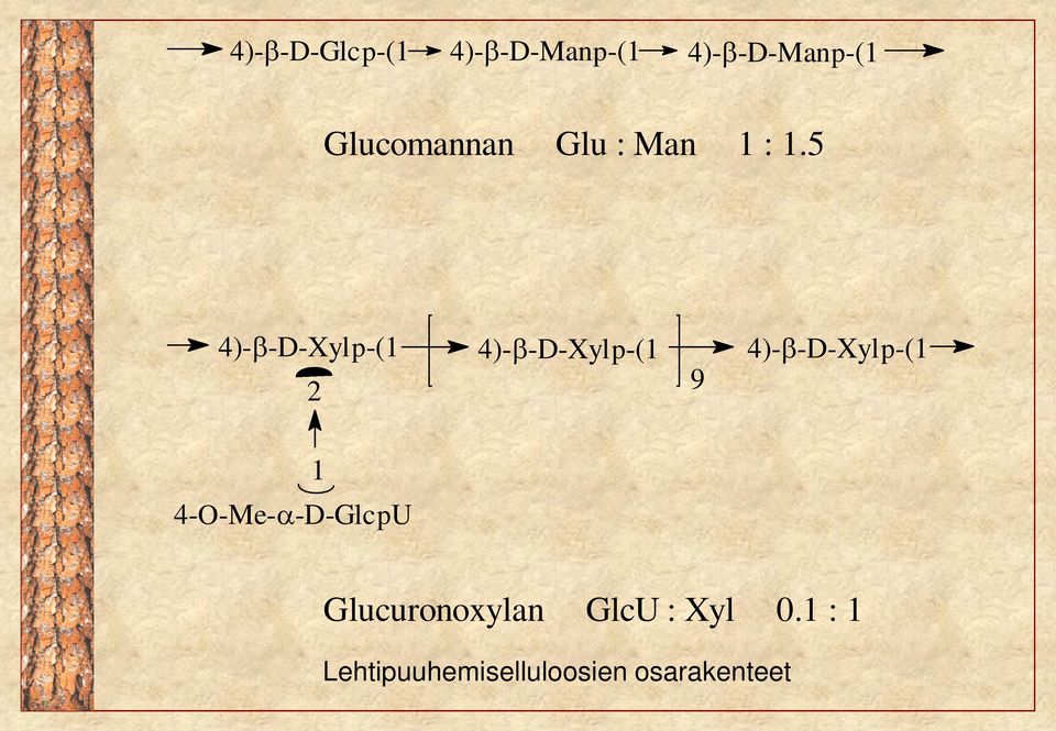 5 4)--D-Xylp-(1 2 4)--D-Xylp-(1 9 4)--D-Xylp-(1 1