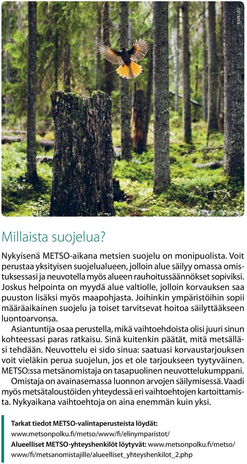 Joskus helpointa on myydä alue valtiolle, jolloin korvauksen saa puuston lisäksi myös maapohjasta.