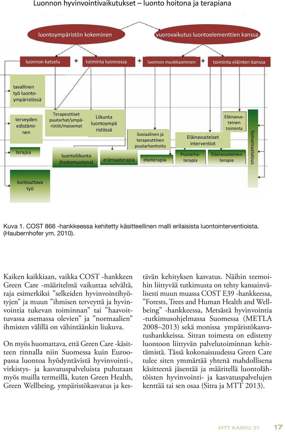 ja terapeuttinen puutarhanhoito ekoterapia Eläinavusteiset interventiot Puutarhaterapia Terapeuttiset puutarhat/ympäristöt/maisemat Eläinavusteinen toiminta Eläinavusteinen terapia ho oivamaatalous