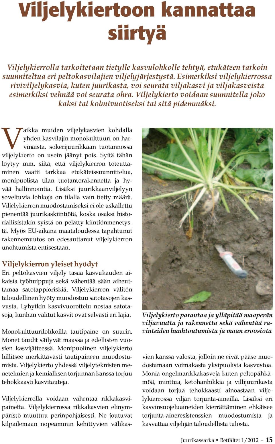 Viljelykierto voidaan suunnitella joko kaksi tai kolmivuotiseksi tai sitä pidemmäksi.