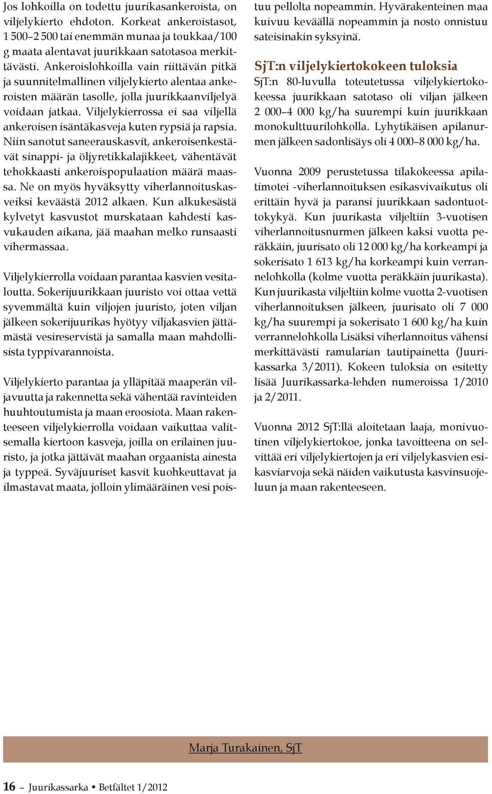 Viljelykierrossa ei saa viljellä ankeroisen isäntäkasveja kuten rypsiä ja rapsia.