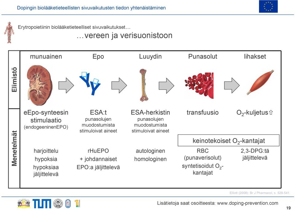 rhuepo + johdannaiset EPO:a jäljittelevä ESA-herkistin punasolujen muodostumista stimuloivat aineet autologinen homologinen transfuusio O 2