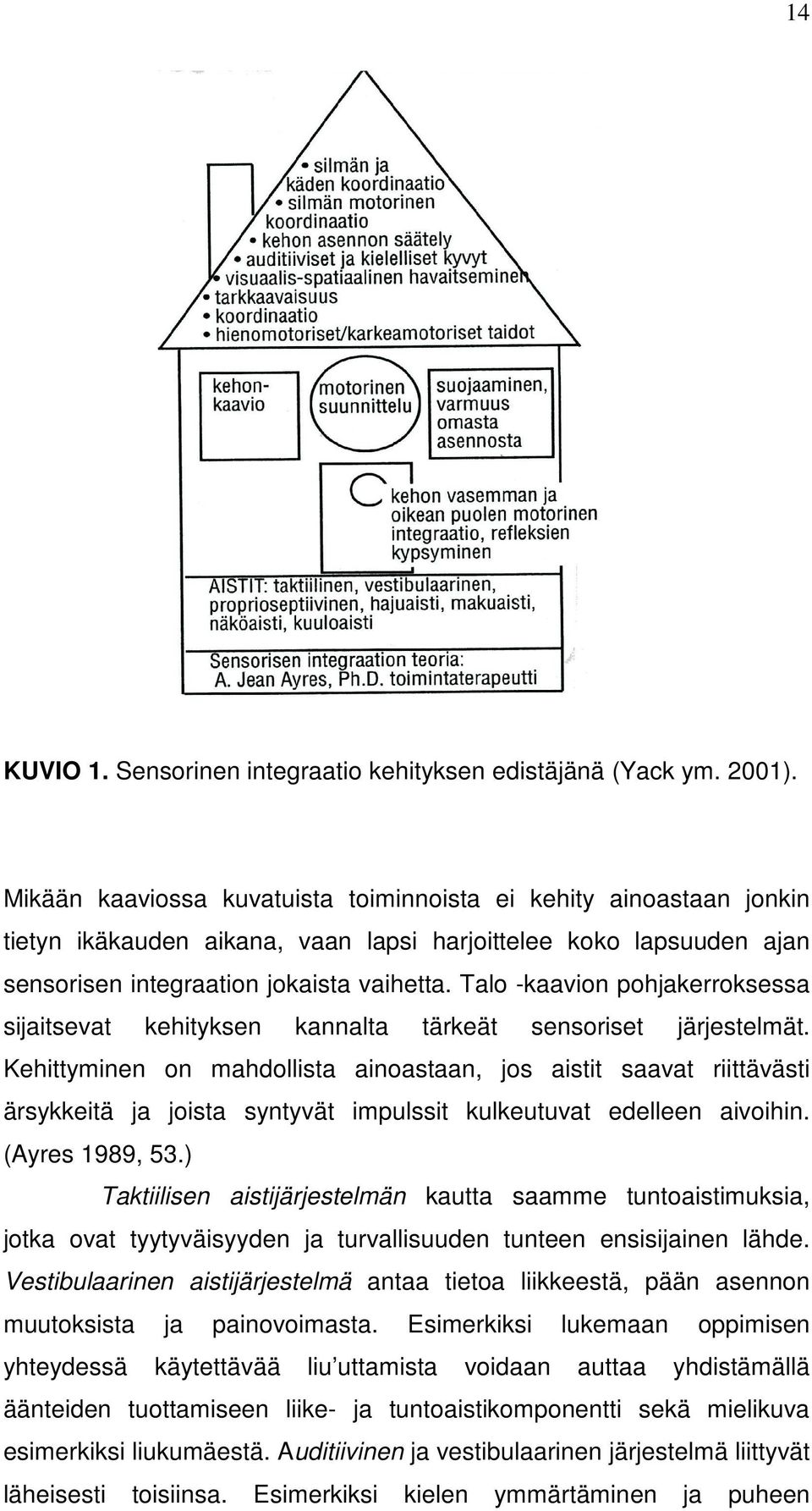 Talo -kaavion pohjakerroksessa sijaitsevat kehityksen kannalta tärkeät sensoriset järjestelmät.