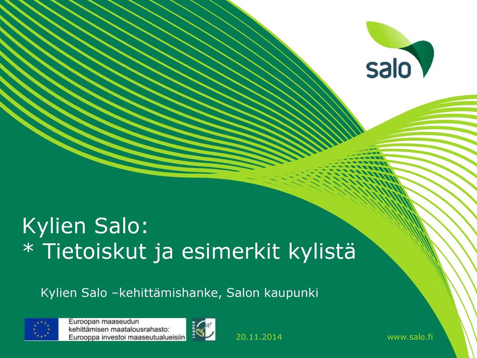 kehittämishanke, Salon kaupunki