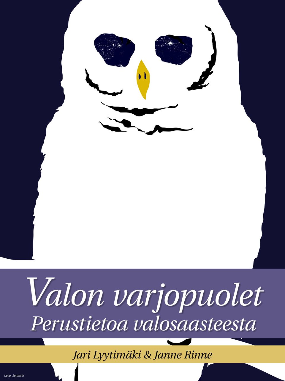 valosaasteesta Jari