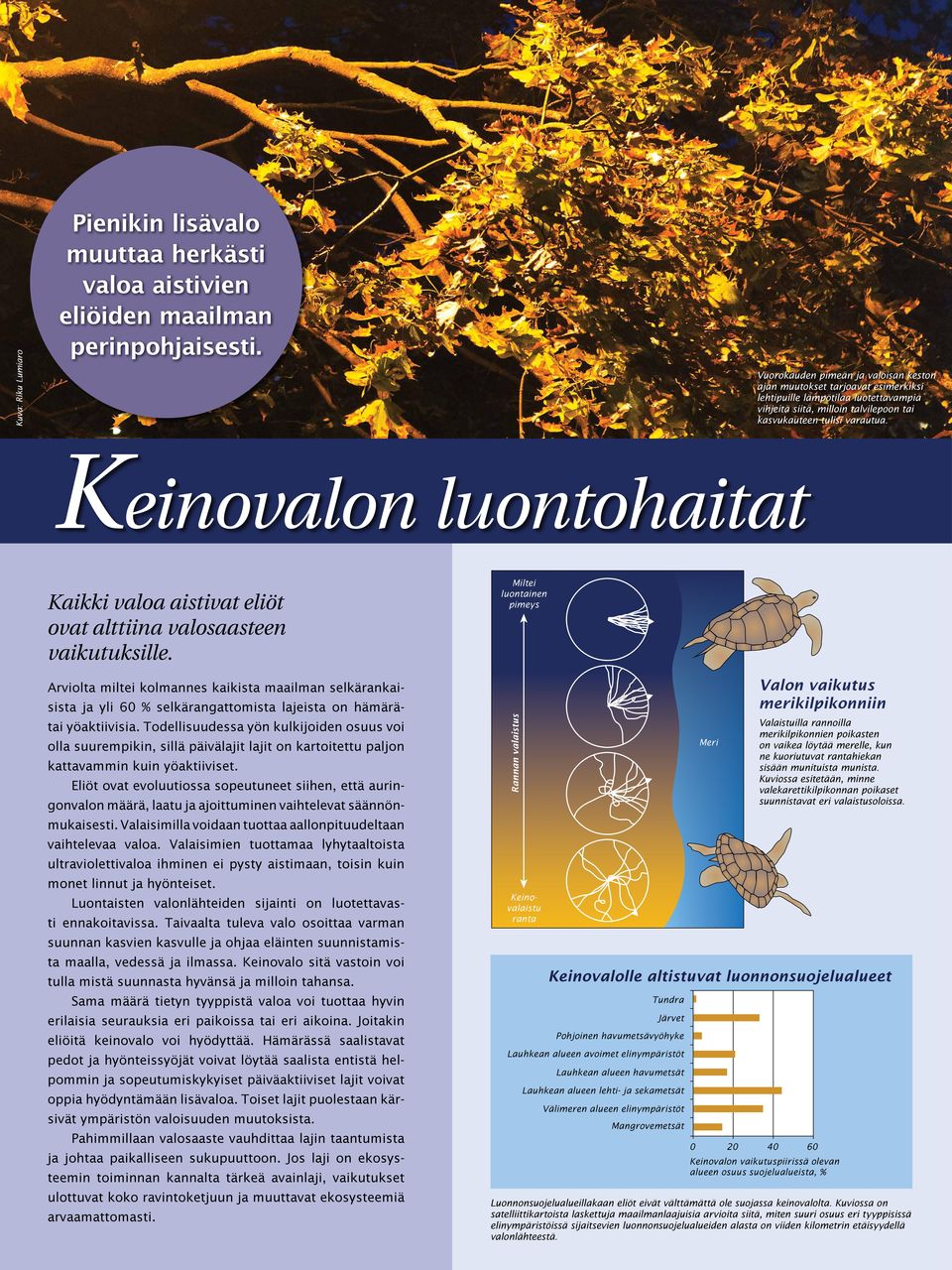 Keinovalon luontohaitat Kaikki valoa aistivat eliöt ovat alttiina valosaasteen vaikutuksille.