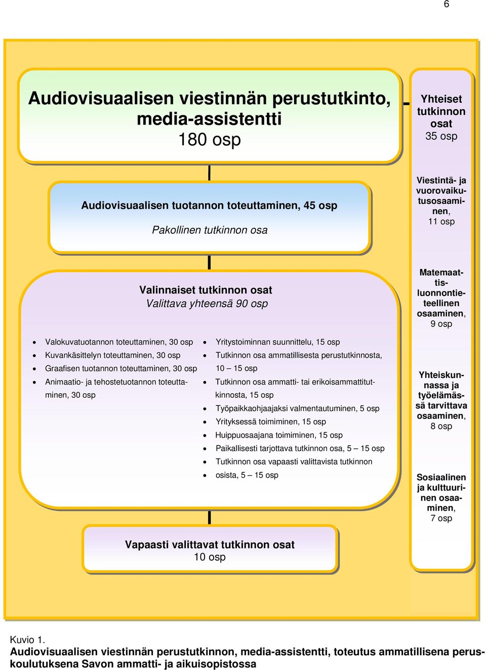 Tutkinnon osa ammatillisesta perustutkinnosta, Graafisen tuotannon toteuttaminen, 30 osp 10 15 osp Animaatio- ja tehostetuotannon toteutta- Tutkinnon osa ammatti- tai erikoisammattitutminen, 30 osp