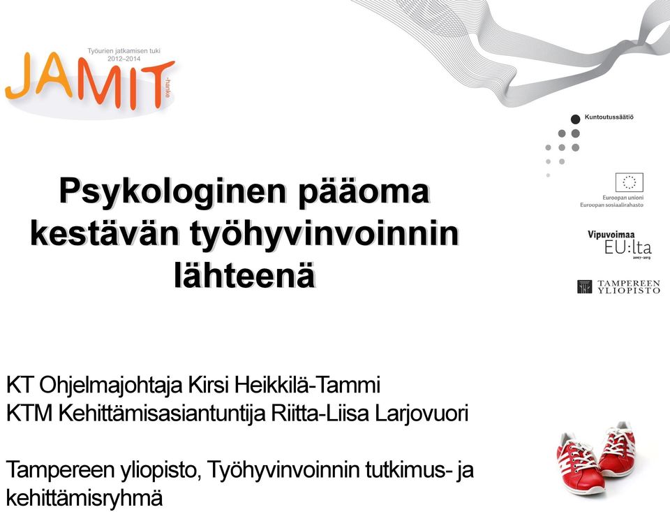 Kehittämisasiantuntija Riitta-Liisa Larjovuori