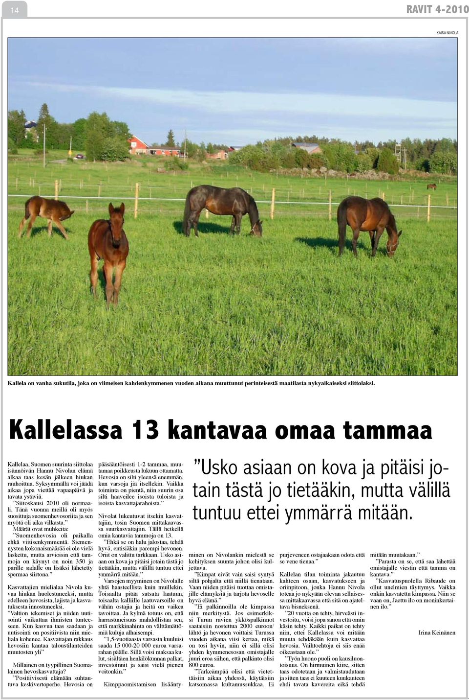 Syksymmällä voi jäädä aikaa jopa viettää vapaapäivä ja tavata ystäviä. Siitoskausi 2010 oli normaali. Tänä vuonna meillä oli myös suosittuja suomenhevosoriita ja sen myötä oli aika vilkasta.