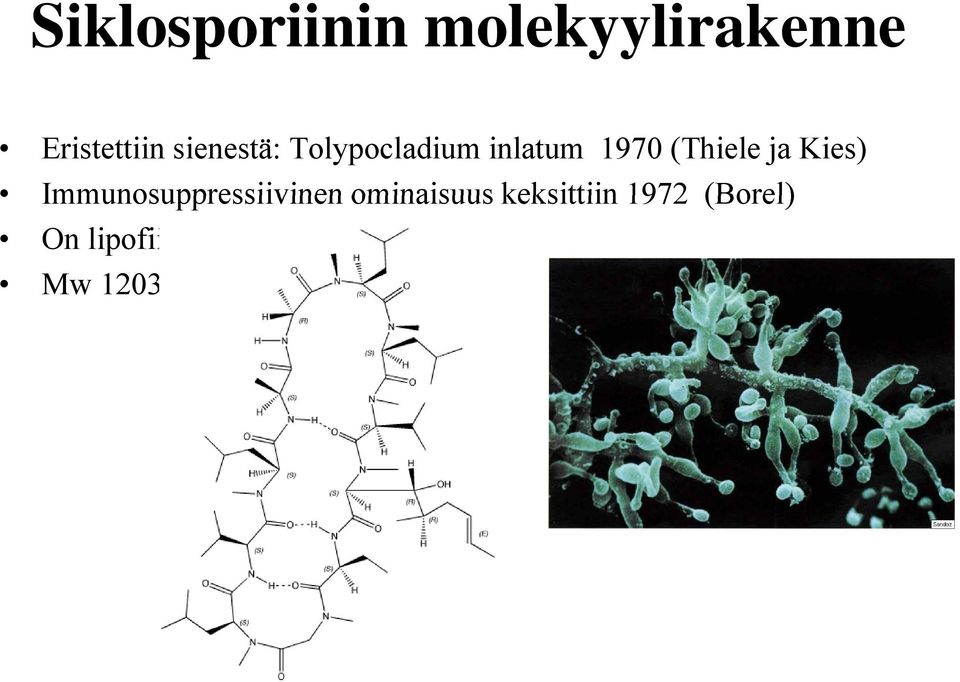 Kies) Immunosuppressiivinen ominaisuus