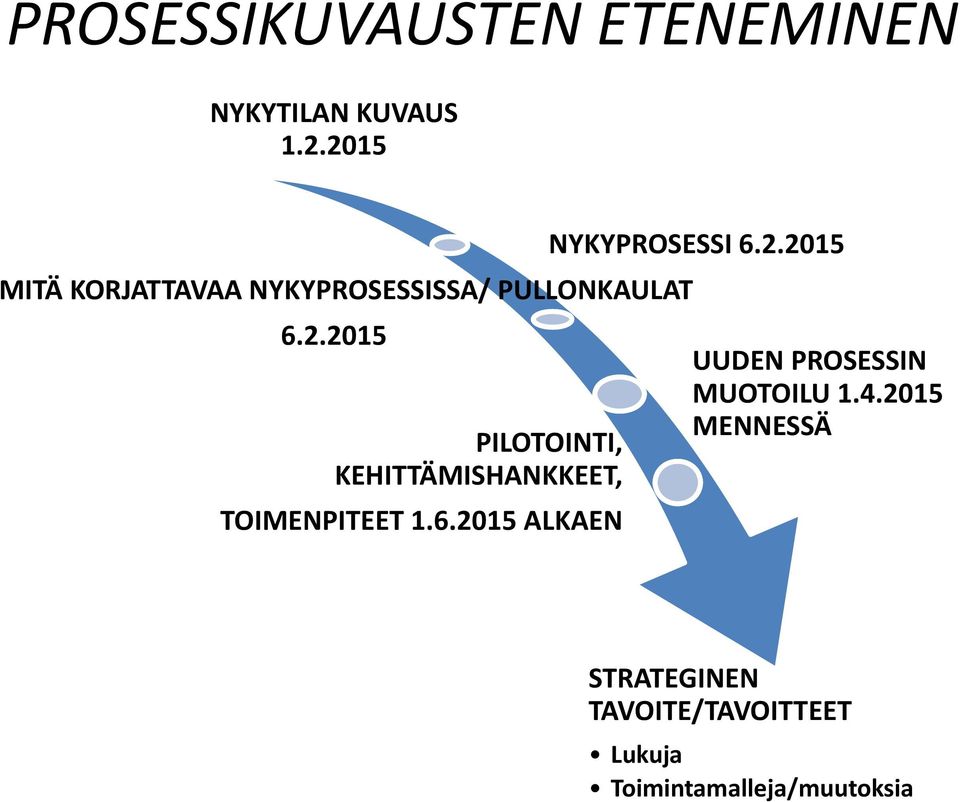 2.2015 PILOTOINTI, KEHITTÄMISHANKKEET, TOIMENPITEET 1.6.