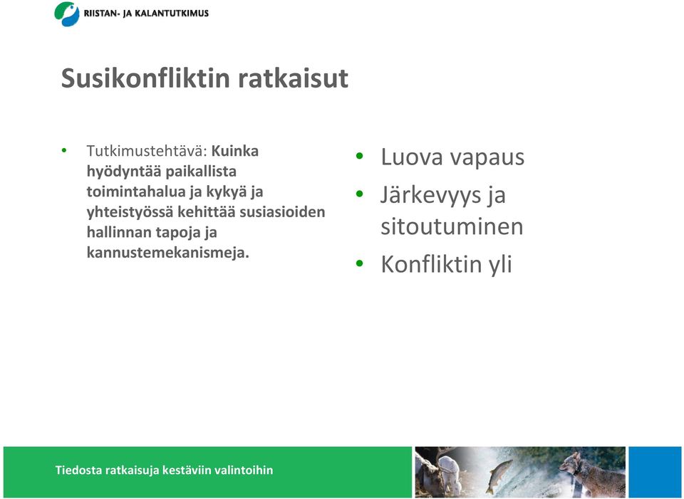 yhteistyössä kehittää susiasioiden hallinnan tapoja ja
