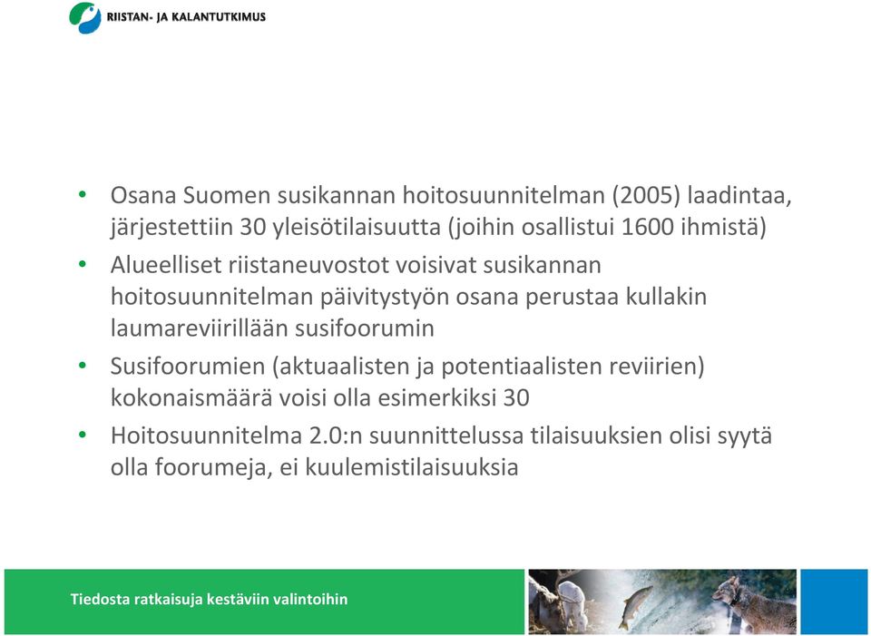 kullakin laumareviirillään susifoorumin Susifoorumien (aktuaalisten ja potentiaalisten reviirien) kokonaismäärä