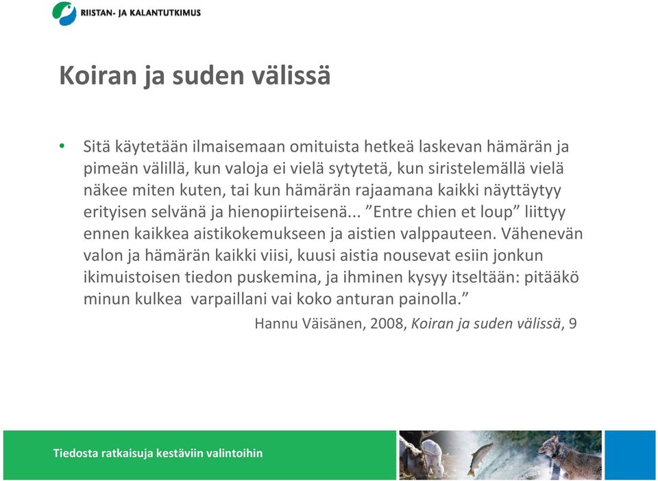 .. Entre chien et loup liittyy ennen kaikkea aistikokemukseen ja aistien valppauteen.