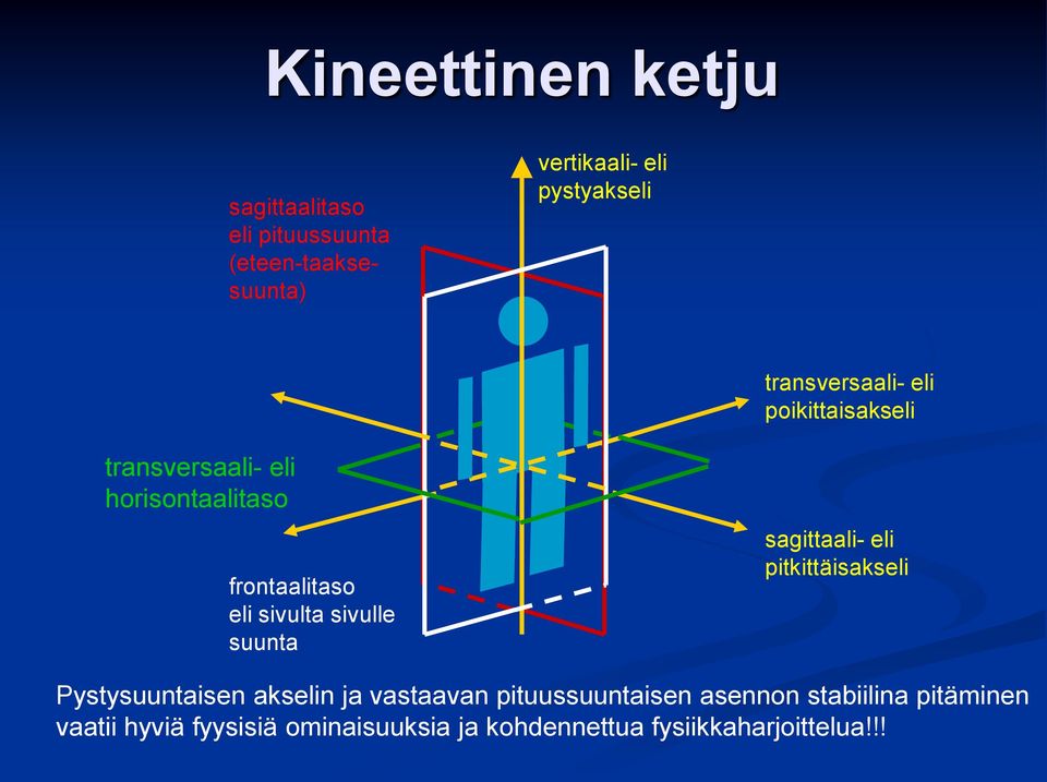 sivulle suunta sagittaali- eli pitkittäisakseli Pystysuuntaisen akselin ja vastaavan