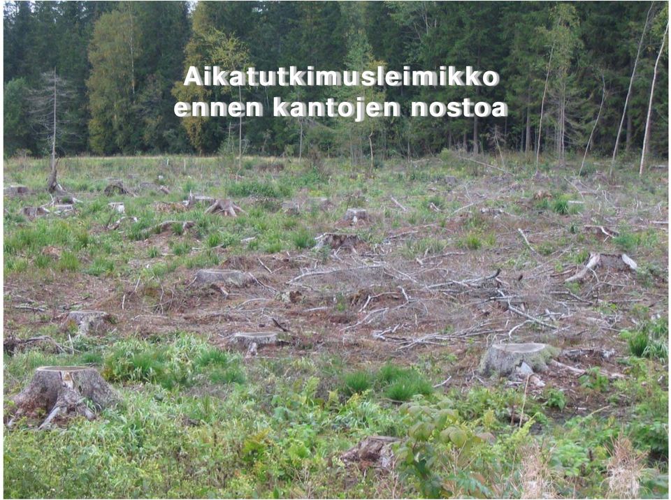 Järvinen -kannonnostolaitteen Kalle Kärhä,
