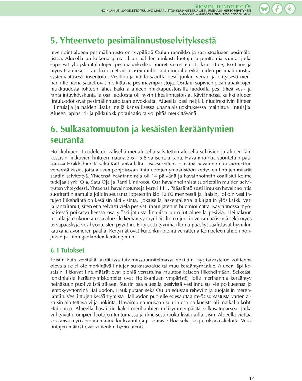 Suuret saaret eli Hoikka- Hiue, Iso-Hiue ja myös Hanhikari ovat liian metsäisiä useimmille rantalinnuille eikä niiden pesimälinnustoa systemaattisesti inventoitu.