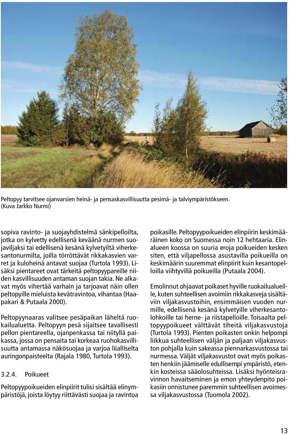 törröttävät rikkakasvien varret ja kuloheinä antavat suojaa (Turtola 1993). Lisäksi pientareet ovat tärkeitä peltopyypareille niiden kasvillisuuden antaman suojan takia.