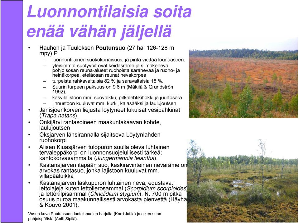 18 %. Suurin turpeen paksuus on 9,6 m (Mäkilä & Grundström 1992). kasvilajistoon mm. suovalkku, pitkälehtikihokki ja juurtosara linnustoon kuuluvat mm. kurki, kalasääksi ja laulujoutsen.