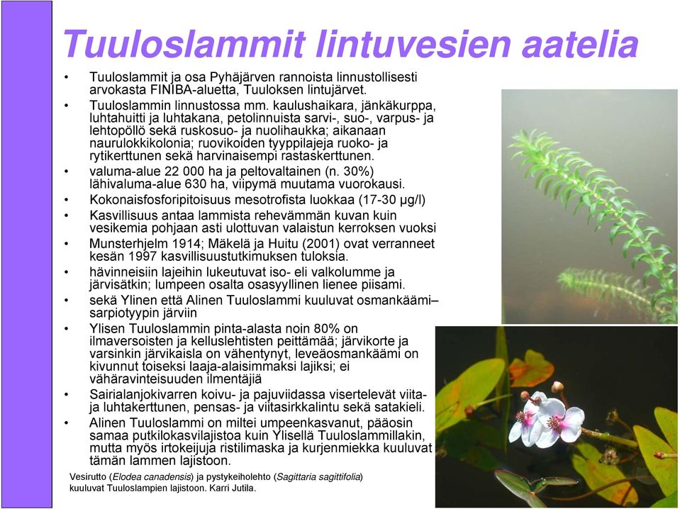 rytikerttunen sekä harvinaisempi rastaskerttunen. valuma-alue 22 000 ha ja peltovaltainen (n. 30%) lähivaluma-alue 630 ha, viipymä muutama vuorokausi.