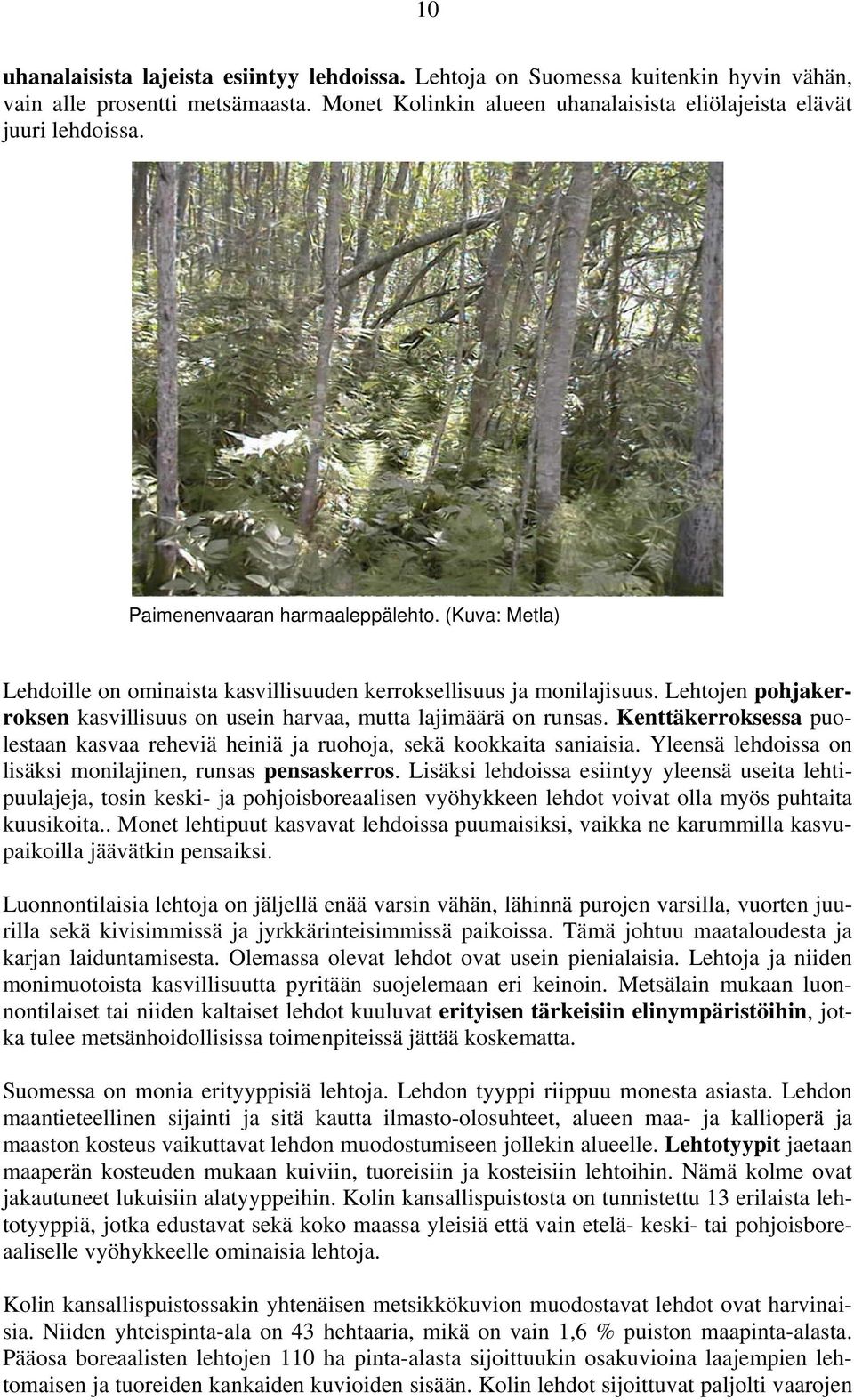 Kenttäkerroksessa puolestaan kasvaa reheviä heiniä ja ruohoja, sekä kookkaita saniaisia. Yleensä lehdoissa on lisäksi monilajinen, runsas pensaskerros.