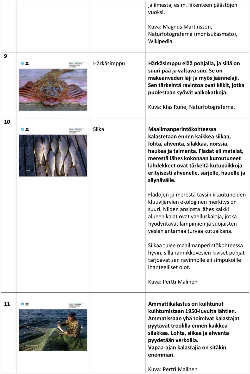 Kuva: Klas Rune, Naturfotograferna. Maailmanperintökohteessa kalastetaan ennen kaikkea siikaa, lohta, ahventa, silakkaa, norssia, haukea ja taimenta.