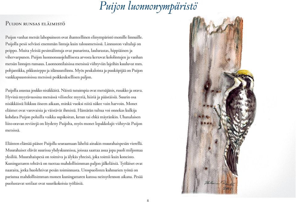 Puijon luonnonsuojelullisesta arvosta kertovat kololintujen ja vanhan metsän lintujen runsaus. Luonnontilaisissa metsissä viihtyviin lajeihin kuuluvat mm. pohjantikka, pikkusieppo ja idänuunilintu.