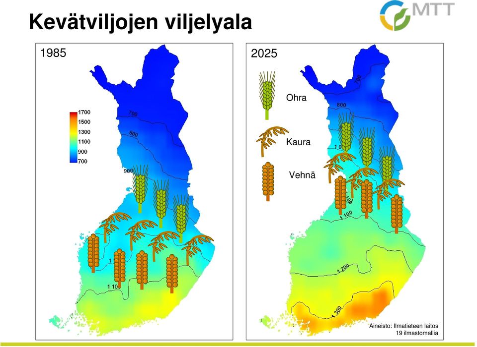 Vehnä Aineisto: