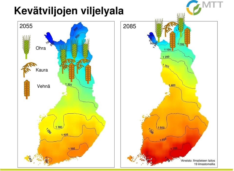 Vehnä Aineisto: