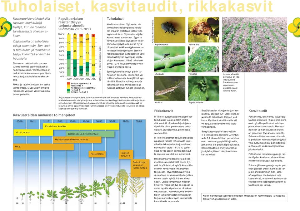 Vaihtoehtona on maksimoida siemenen nopea itäminen ja torjua tuholaiset ruiskutuksilla. Rikka- ja tautitorjuntaan on useita vaihtoehtoja.