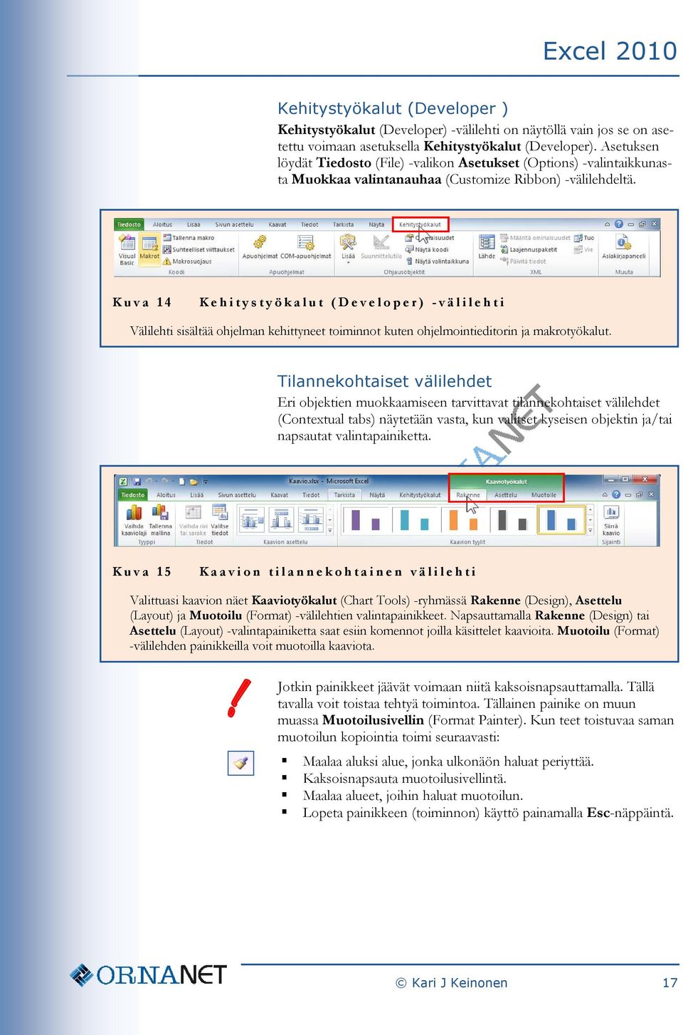 Kuva 14 Kehitystyökalut ( Developer) - välilehti Välilehti sisältää ohjelman kehittyneet toiminnot kuten ohjelmointieditorin ja makrotyökalut.