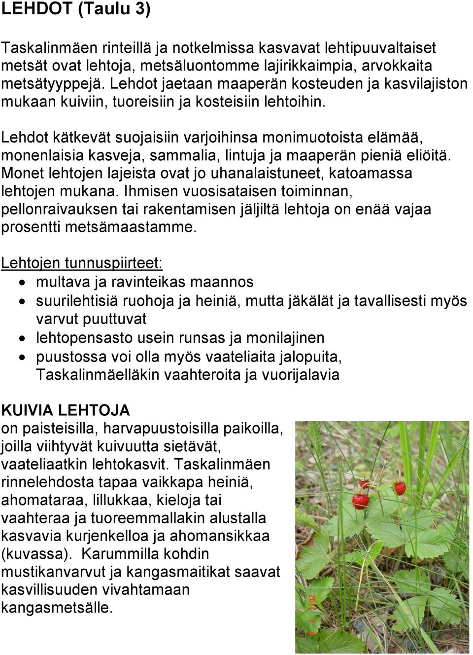 Lehdot kätkevät suojaisiin varjoihinsa monimuotoista elämää, monenlaisia kasveja, sammalia, lintuja ja maaperän pieniä eliöitä.