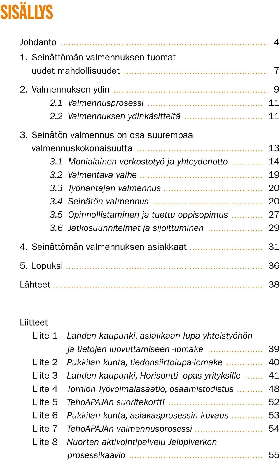 .. 20 3.5 Opinnollistaminen ja tuettu oppisopimus... 27 3.6 Jatkosuunnitelmat ja sijoittuminen... 29 4. Seinättömän valmennuksen asiakkaat... 31 5. Lopuksi... 36 Lähteet.