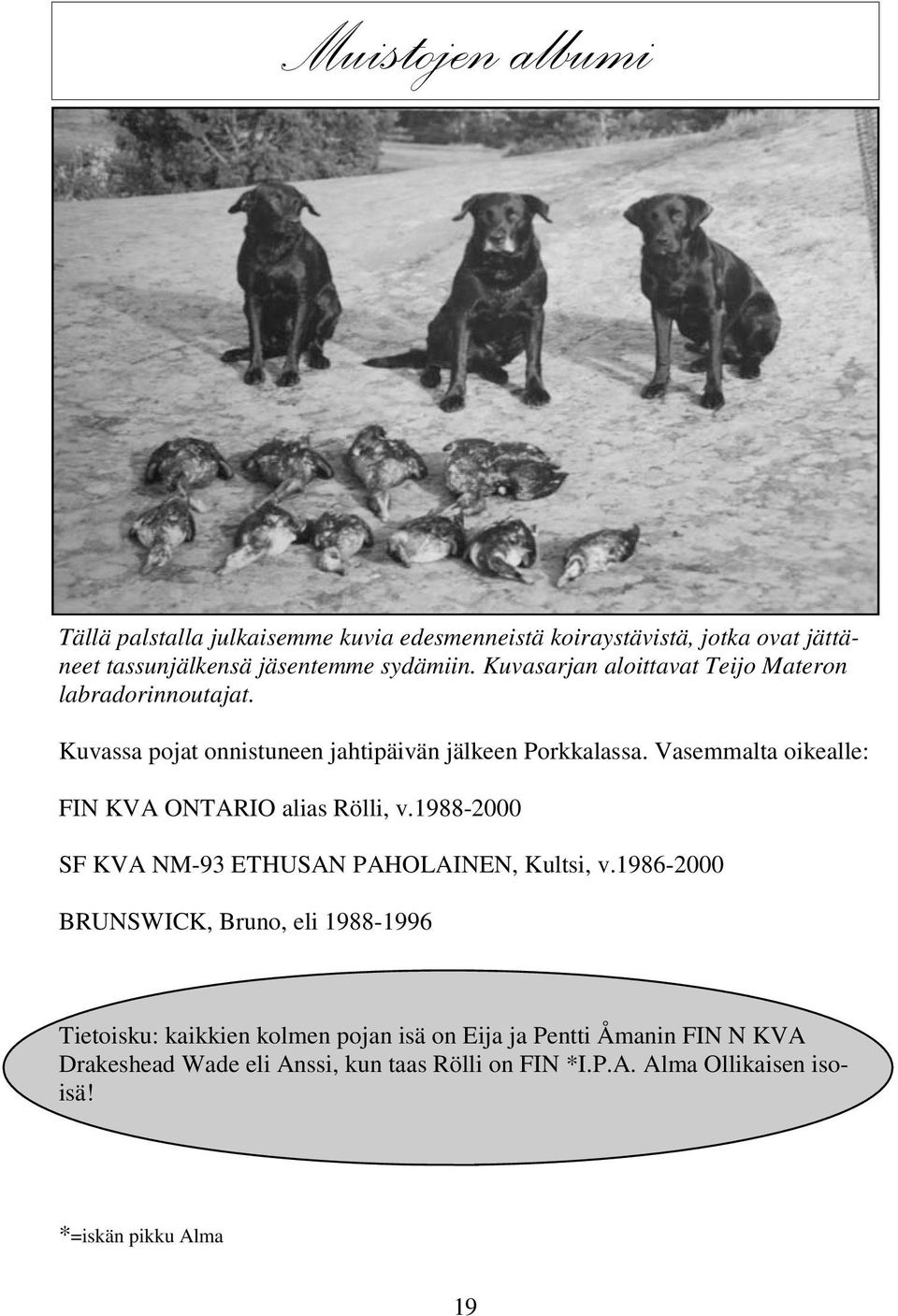 Vasemmalta oikealle: FIN KVA ONTARIO alias Rölli, v.1988-2000 SF KVA NM-93 ETHUSAN PAHOLAINEN, Kultsi, v.