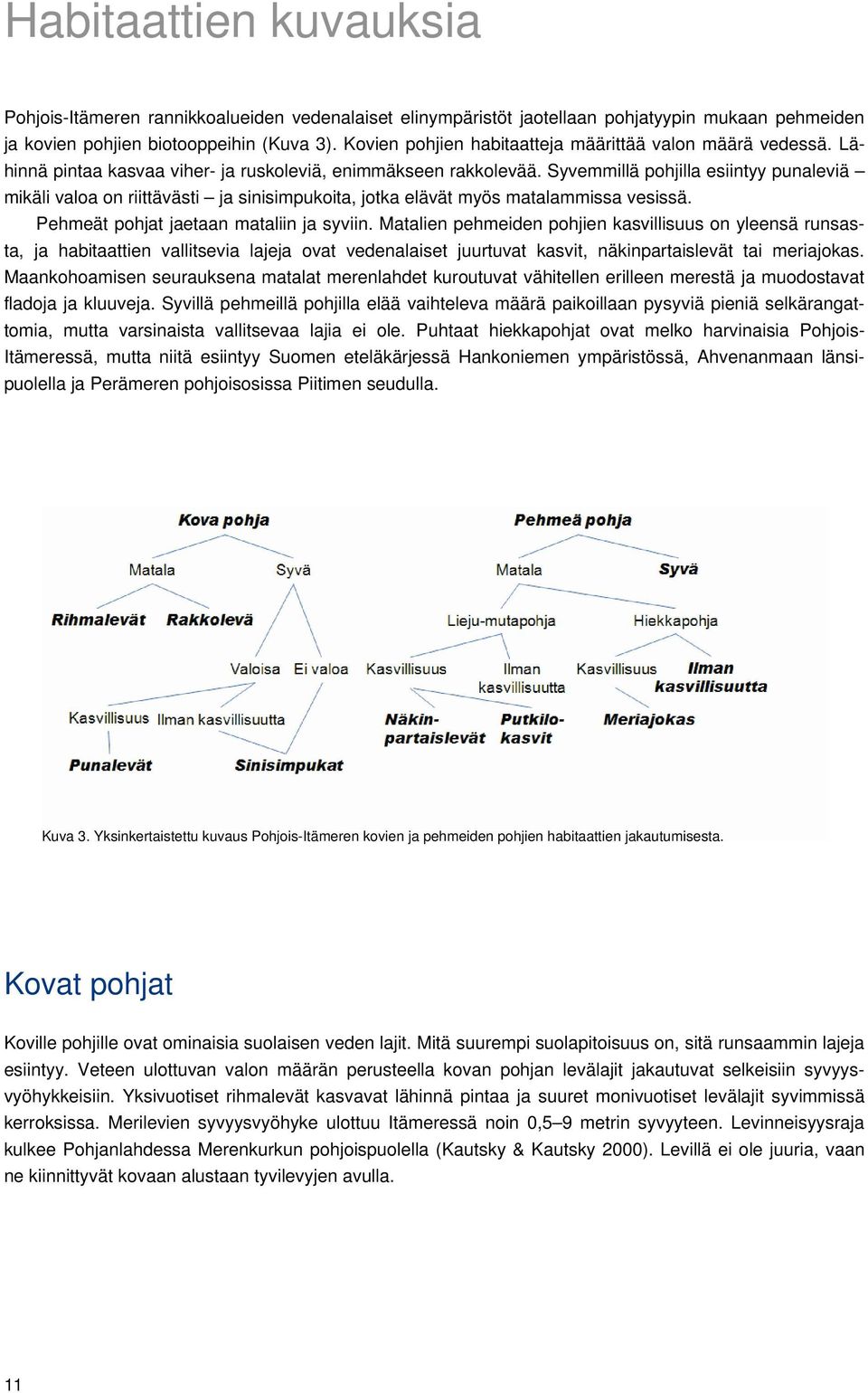 Syvemmillä pohjilla esiintyy punaleviä mikäli valoa on riittävästi ja sinisimpukoita, jotka elävät myös matalammissa vesissä. Pehmeät pohjat jaetaan mataliin ja syviin.