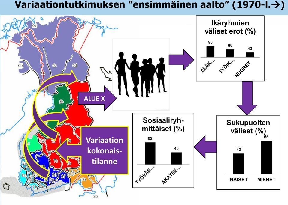 Variaation kokonaistilanne Sosiaaliryhmittäiset