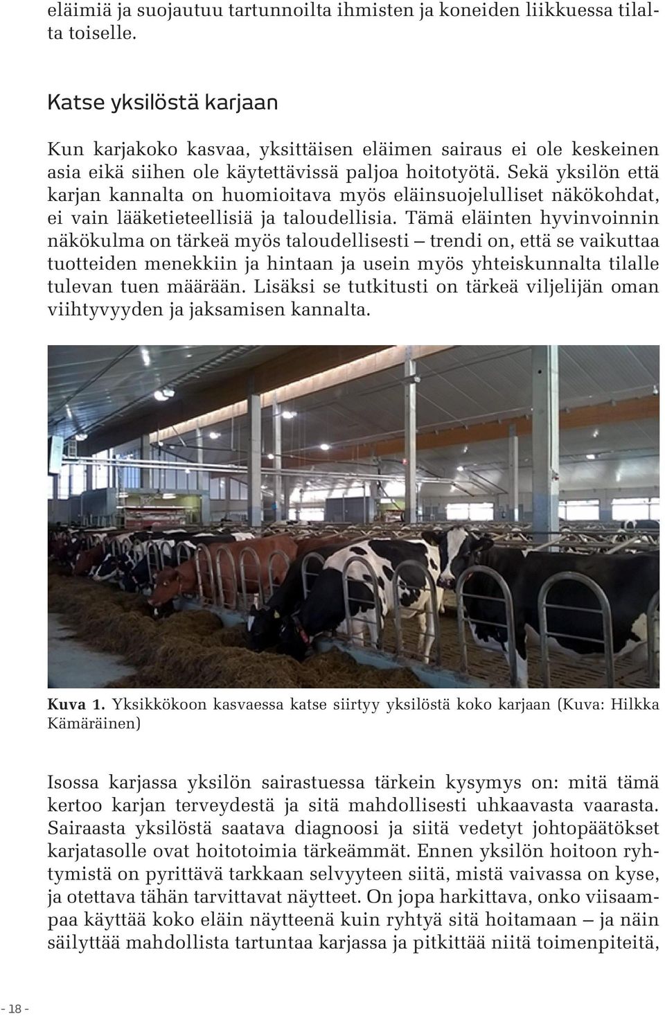 Sekä yksilön että karjan kannalta on huomioitava myös eläinsuojelulliset näkökohdat, ei vain lääketieteellisiä ja taloudellisia.