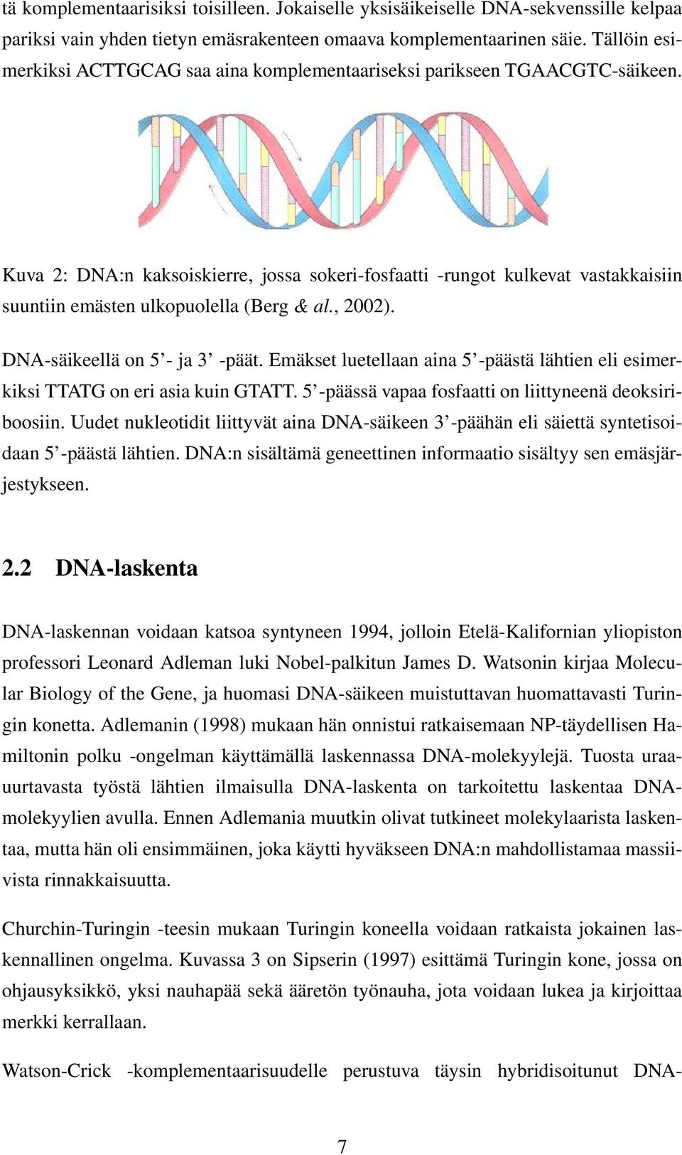 Kuva 2: DNA:n kaksoiskierre, jossa sokeri-fosfaatti -rungot kulkevat vastakkaisiin suuntiin emästen ulkopuolella (Berg & al., 2002). DNA-säikeellä on 5 - ja 3 -päät.
