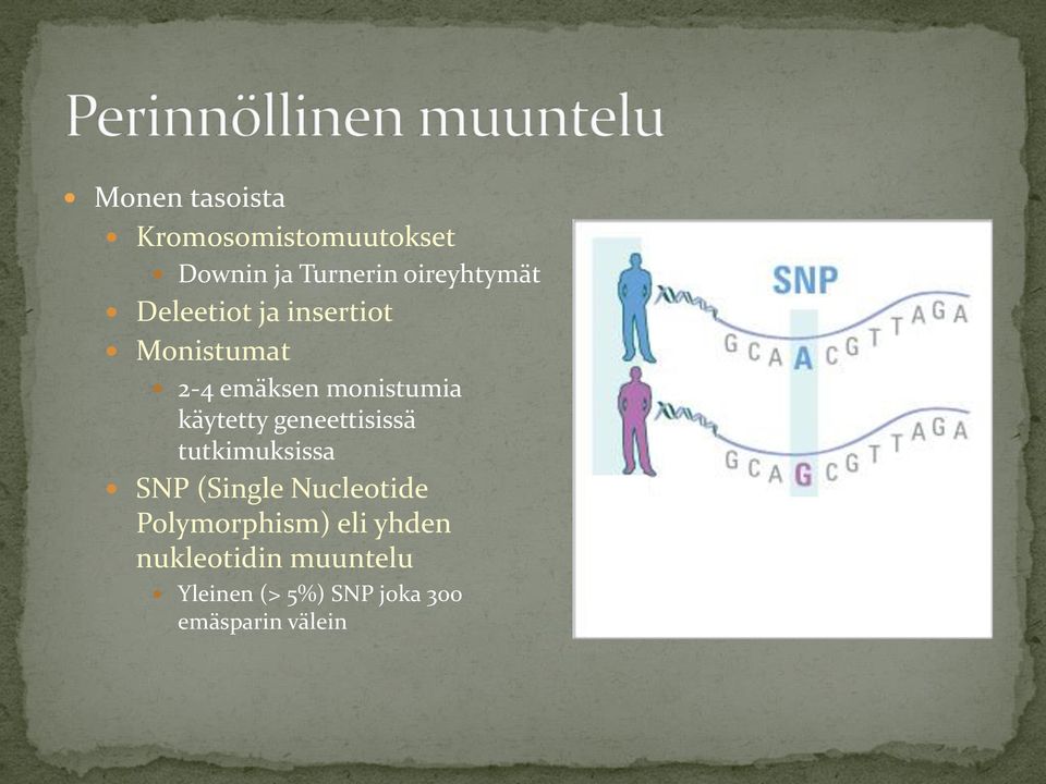 geneettisissä tutkimuksissa SNP (Single Nucleotide Polymorphism) eli