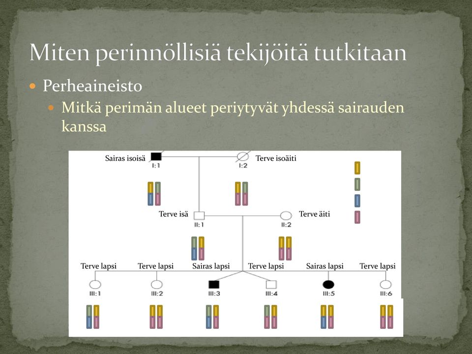 SNP 2 Terve isä Terve äiti = G = A = T Terve lapsi