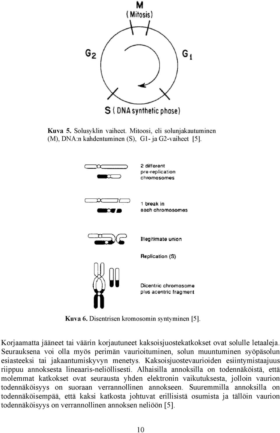 Seurauksena voi olla myös perimän vaurioituminen, solun muuntuminen syöpäsolun esiasteeksi tai jakaantumiskyvyn menetys.