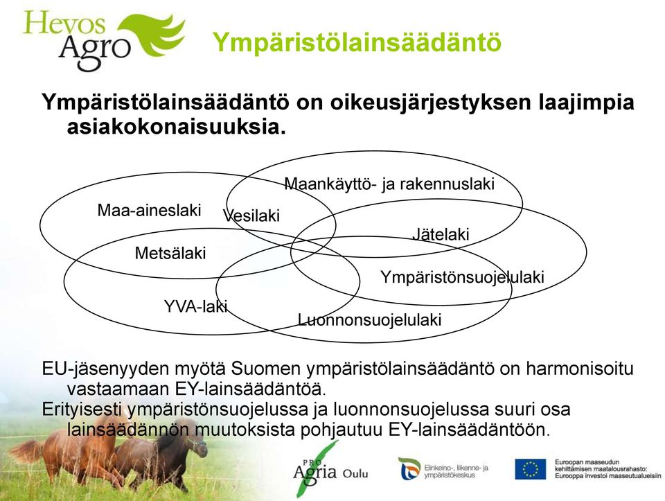 Ympäristönsuojelulaki EU-jäsenyyden myötä Suomen ympäristölainsäädäntö on harmonisoitu vastaamaan