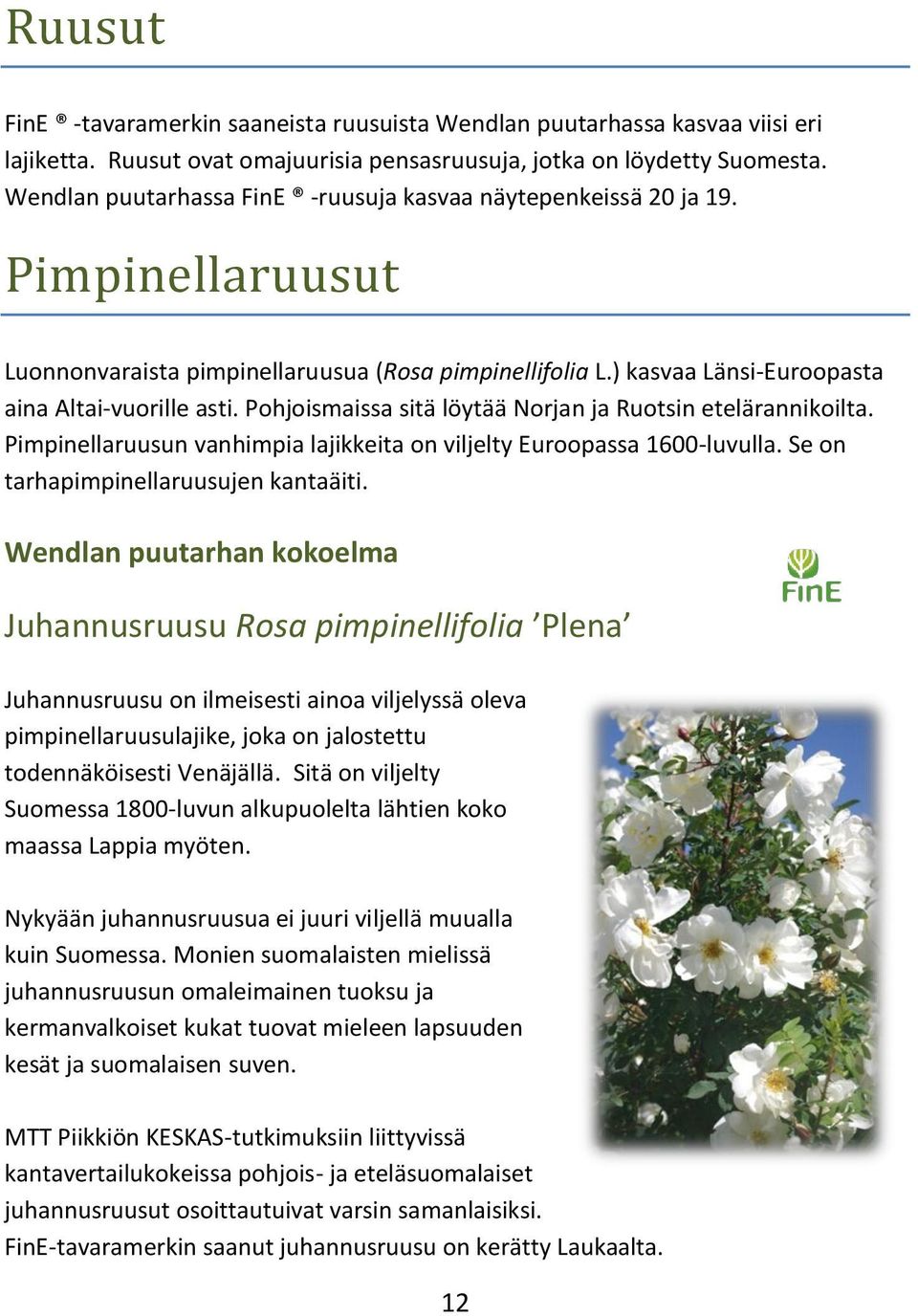 Pohjoismaissa sitä löytää Norjan ja Ruotsin etelärannikoilta. Pimpinellaruusun vanhimpia lajikkeita on viljelty Euroopassa 1600-luvulla. Se on tarhapimpinellaruusujen kantaäiti.