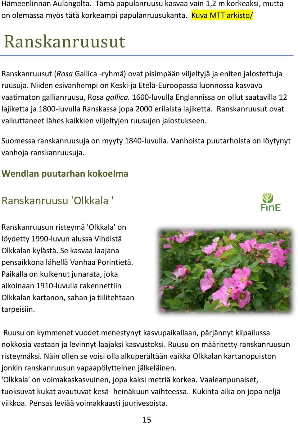 Niiden esivanhempi on Keski-ja Etelä-Euroopassa luonnossa kasvava vaatimaton gallianruusu, Rosa gallica.