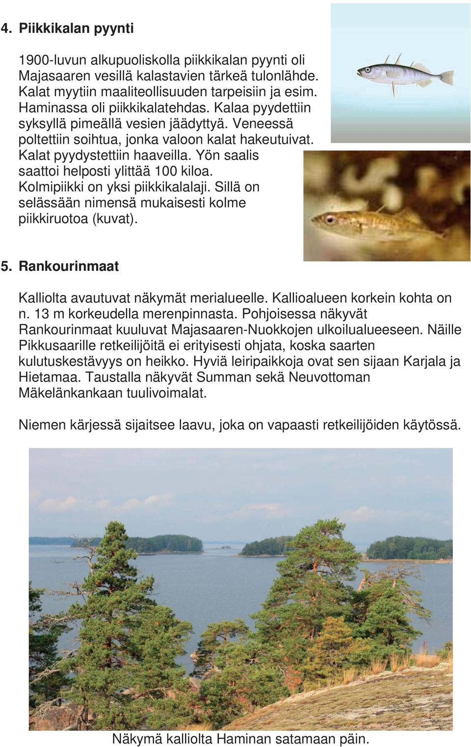 Yön saalis saattoi helposti ylittää 100 kiloa. Kolmipiikki on yksi piikkikalalaji. Sillä on selässään nimensä mukaisesti kolme piikkiruotoa (kuvat). 5.