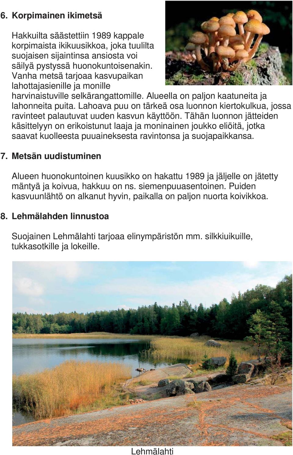 Lahoava puu on tärkeä osa luonnon kiertokulkua, jossa ravinteet palautuvat uuden kasvun käyttöön.